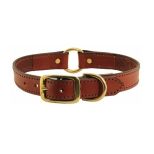 Dog Collar